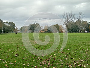 Empty park on autumn in a rainy day with overcast sky