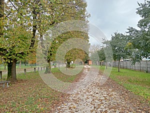 Empty park on autumn in a rainy day with overcast sky