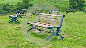 Empty park bench on lawn in lush green parkland in summer