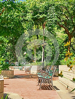 Empty park bench in a park For a garden view