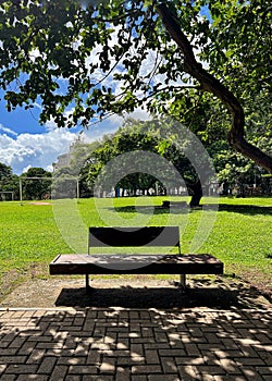 empty park bench on a sunny day