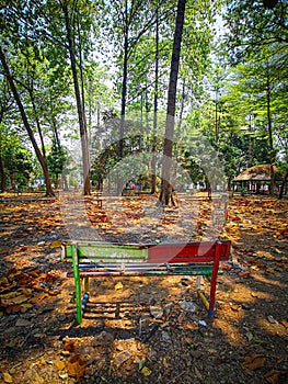 Empty park bench surrounded by trees in the park in autumn