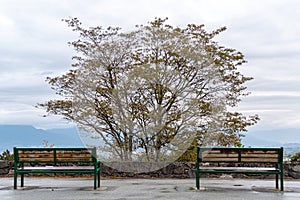 Empty park benches overlooking the city