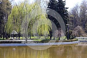 Empty park with empty benches as prevention from coronavirus Covid-19 disease. Closed park for restriction during quarantine