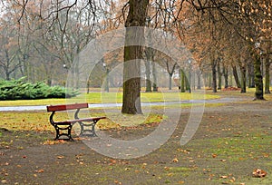 Empty park in a raining day