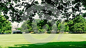 Empty park in sunny day