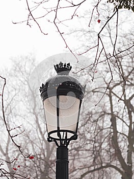 Empty park with vintage lanterns trees covered by white snow. Winter season landscape Wintertime walk cold weather frost