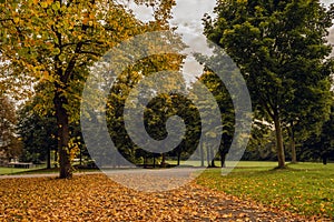 Empty park with yellow leaves on the ground and colorful trees on a cloudy fall day