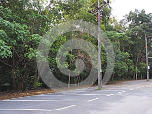 Empty parking lot lane in the park