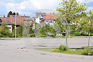 empty parking lot with light green trees