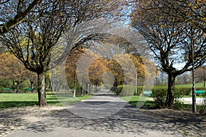 Empty path in the park