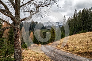 Empty path in sad autumn country photo