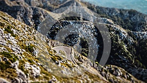 Empty Path on the Sveti Jure within the Biokovo Mountains in Makarska, Croatia