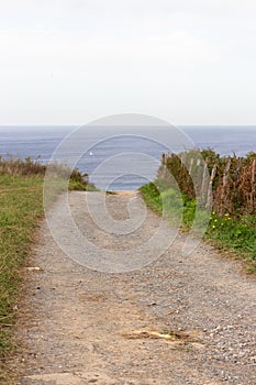 Empty path to the sea. Camino de Santiago concept. Countryside landscape. Trail to the beach along the meadow. Walk and travel.