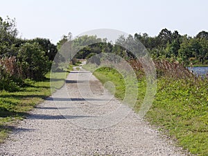 The empty pathway road to the woods