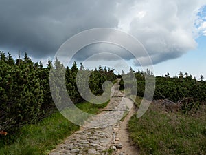 Empty paved mountain trail. Karkonosze National Park.