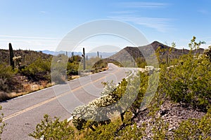 Empty paved road in Saguaro NP near Tucson AZ US