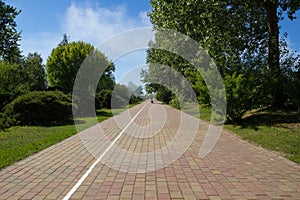 Empty paved walking path