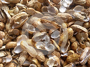 Empty peanut shells