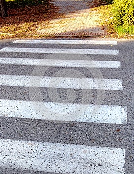 Empty pedestrian crossing