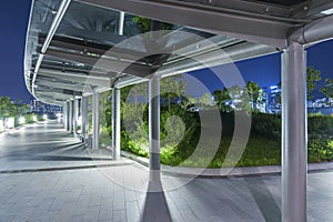 Empty pedestrian walkway in park