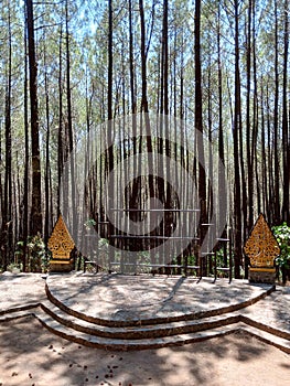 empty performance stage in the middle of a pine forest. stage in the pine forest in Mount Merbabu National Park, Indonesia