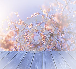 Empty perspective blue wood over blurred, blooming trees with bokeh background, for product display montage