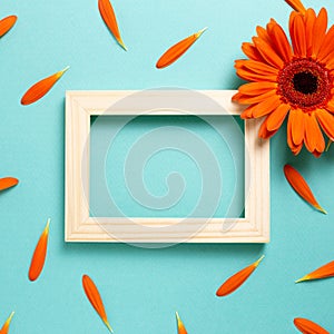 Empty photo frame with orange gerbera daisy flower petals on blue background