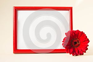 Empty photo frame with red gerbera daisy flower on pastel beige background. Picture frame mockup with flower, copy space