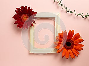 Empty photo frame with red orange gerbera daisy flowers and eucalyptus leaf on pink background