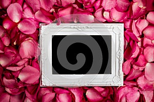 Empty photo frame with sweet pink roses petal , romance and l