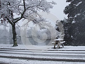 Empty picnic table covered in snow