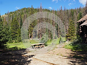 Empty picnic table in Rocky Mountain Park