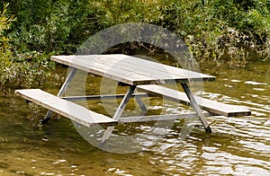 Empty picnic table in water by plants