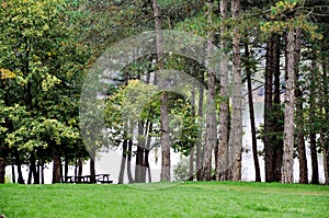 Empty Picnic Tables and River