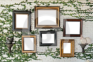 Empty picture frames