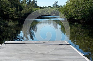 Empty pier in florida wilderness