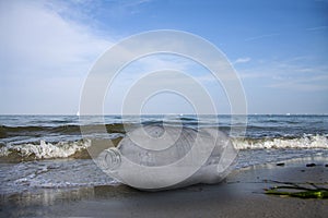Empty plastic bottle floating in water. Pollution concept. Close up image.