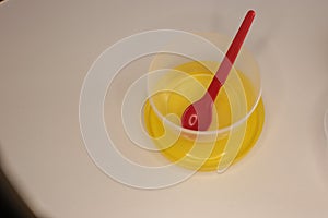 Empty plastic dinnerware on white table background