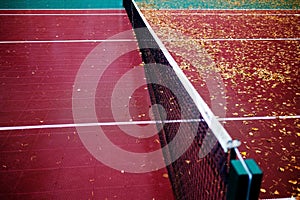 Empty plastic tennis court and net.