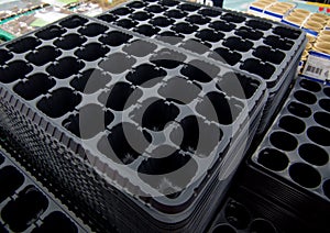 Empty plastic trays for growing young seedlings