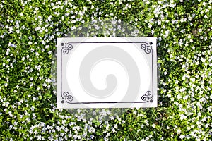 Empty plate with a frame of black patterns on a cover of herbs and flowers of violets