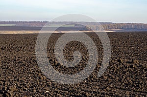 Empty plowed field prepared for the new crop, black soil