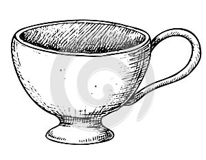 Empty porcelain white Cup for tea or coffee. Hand drawn vector illustration of vintage teacup on white isolated