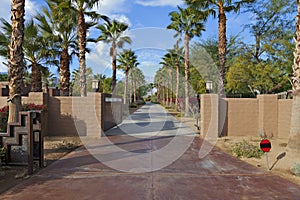 Empty Private Road lined with Palm trees