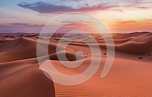 Empty Quarter Desert Dunes at Liwa, Abu Dhabi, United Arab Emirates