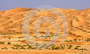 Empty Quarter Wadi photo