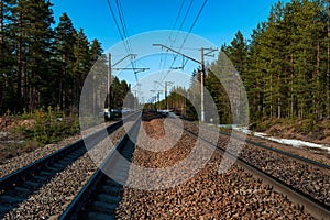 Empty railroad in the forest