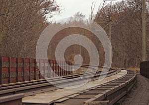 Empty railroad though forest at winter time