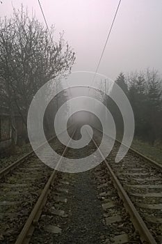 Empty railroad tracks covered in white fog